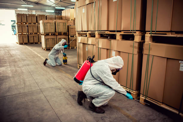 Best Local Pest Control Services  in Piermont, NY