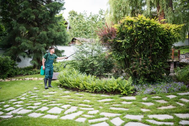 Best Mosquito Control Services  in Piermont, NY