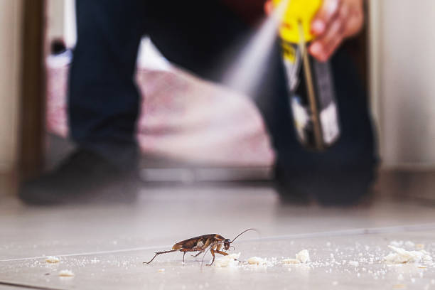 Professional Pest Control in Piermont, NY
